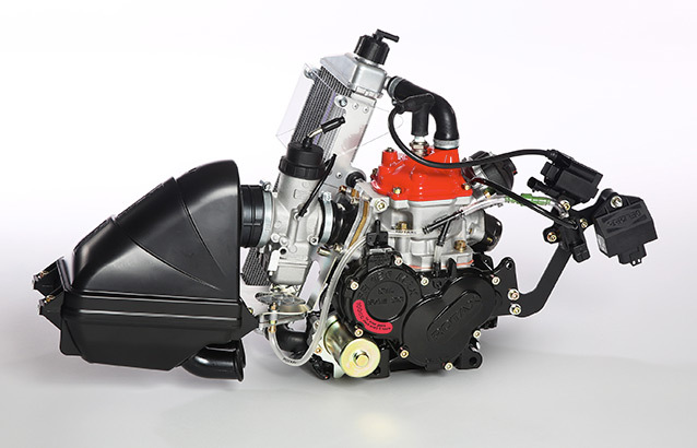 125-MAX-EVO-motor.jpg