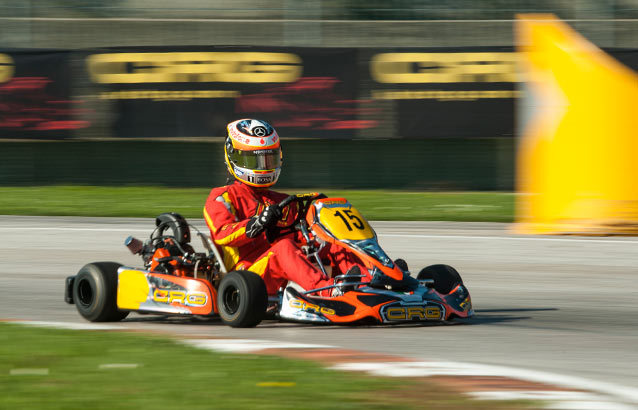 CRG-Briggs-Kart-Championship.jpg