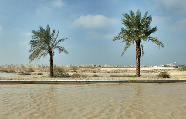 KSP-Bahrein-2013-road-palm-tree.jpg