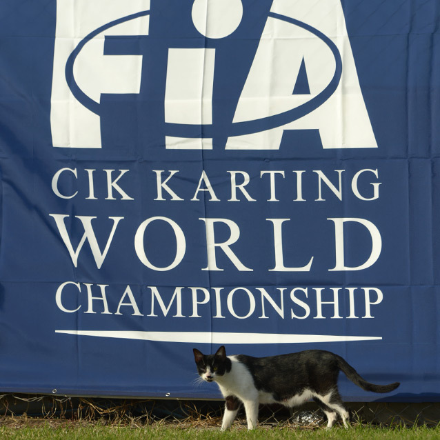 KSP-CIK-FIA-World-Championship-Cat-Sarno-2013.jpg