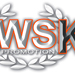 WSK-Promotion-2013.jpg